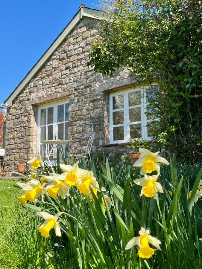 The Billiard Room - Cosy Country Retreat أبرجافني المظهر الخارجي الصورة